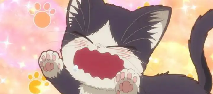 《同居人时而在腿上，时而在头顶》：吸猫一小步，人生一大步